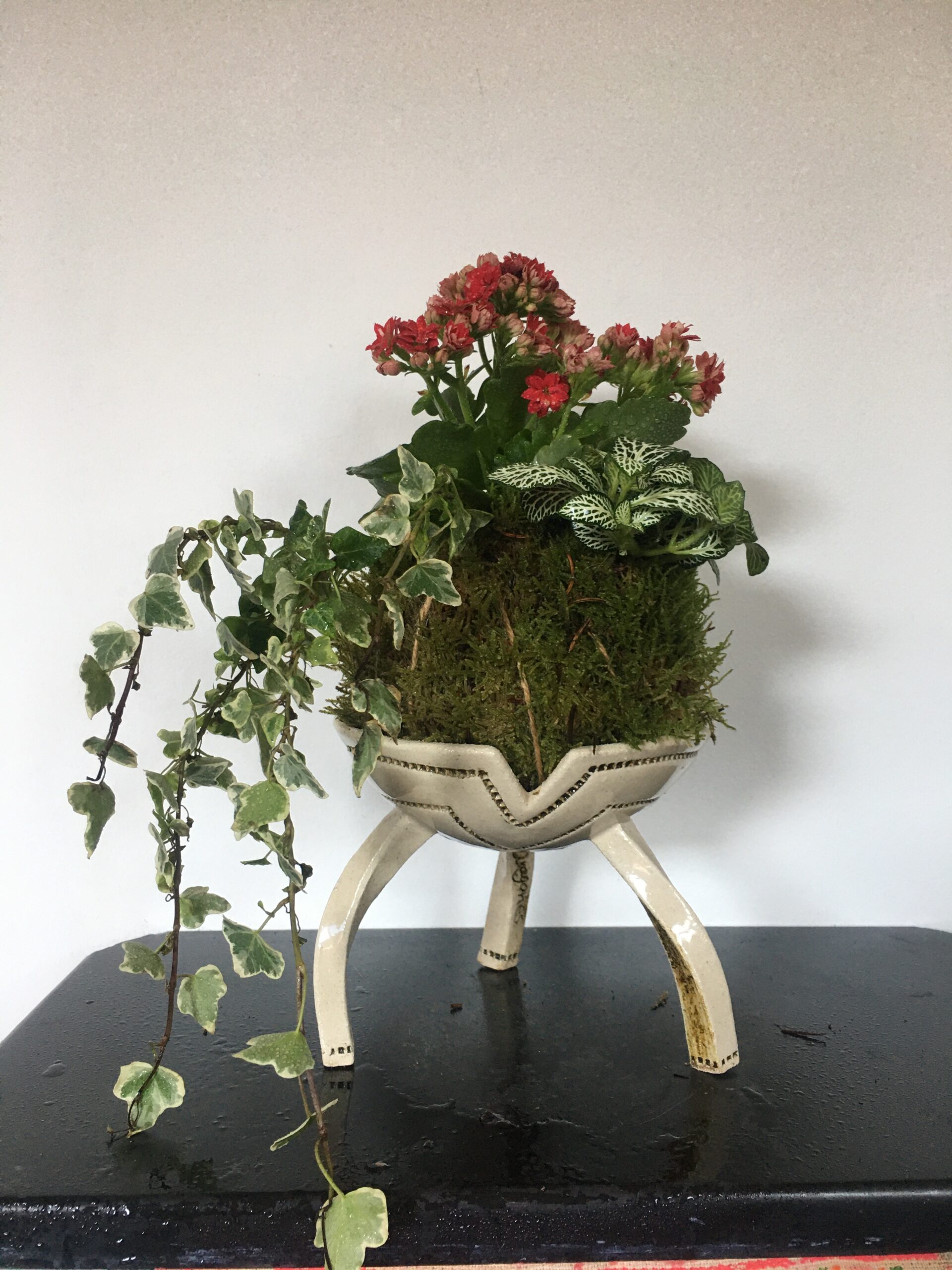 Kokedamas (4)